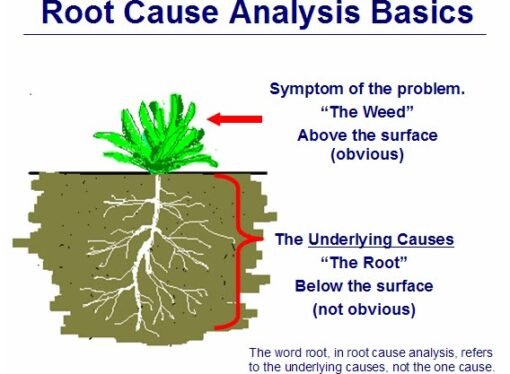 Lean Quote of the Day, May 21, 2010