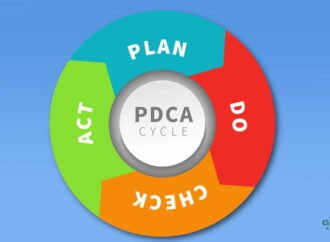 Check to Solve Problems