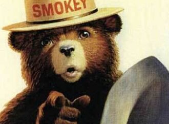 Undo Old Habits and Make New Connections to Embrace Change