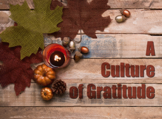Build a Culture of Gratitude at Work